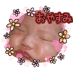 NOZOMI_20250119174043