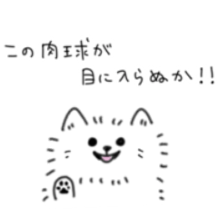 White Pomeranian Pome