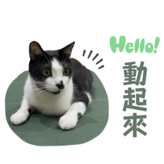 奶凍咚次咚