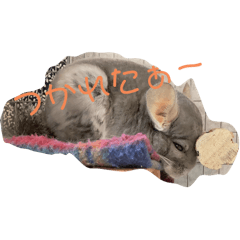 saori_20250118221830