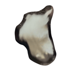 abcdefg_20250118224202