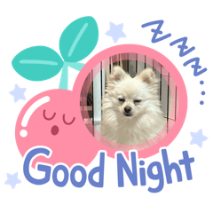 sachi_20250118231440