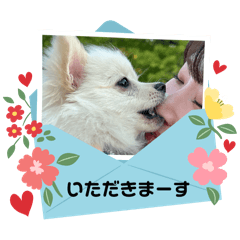 sachi_20250118232020
