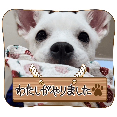 TONO_20250118232723