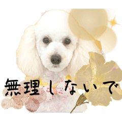 Nono_20250119110206