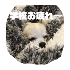 rui_20250118195156