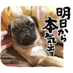 Ayumi_20250118193501