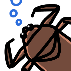 Water bug daily conversation 2