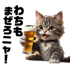 cat drinking alcohol111111111