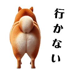 Fat remarks Shiba Inu