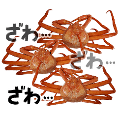 Lively!Communicate with crabs