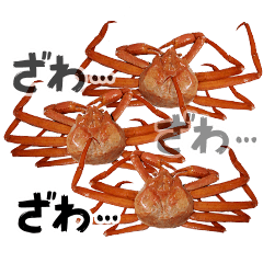 Lively!Communicate with crabs