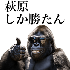 [Hagiwara] Funny Gorilla stamp to send