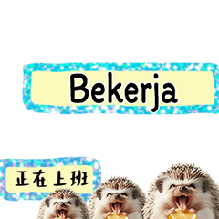 (Malaysian Chinese) Hedgehog7