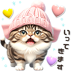 Knitted hat cat  compassion