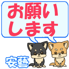 Yasugei's letters Chihuahua2