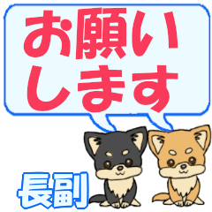 Choufuku's letters Chihuahua2