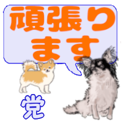 Tou's letters Chihuahua