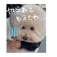 MOMO_20250119111449