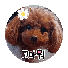 riri_20250119115055