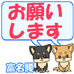 Tonagoshi's letters Chihuahua2