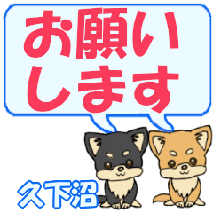 Kugenuma's letters Chihuahua2