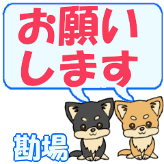 Kanba's letters Chihuahua2 (2)