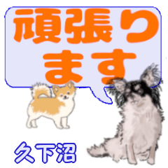 Kugenuma's letters Chihuahua