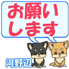 Kounobe's letters Chihuahua2