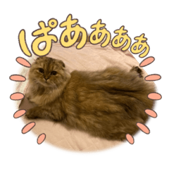 Miko_20250119131432