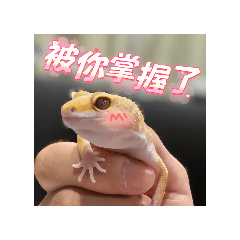 【宮其不備！】第一彈貼圖