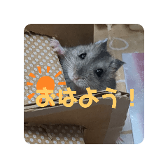 ponzu_2025