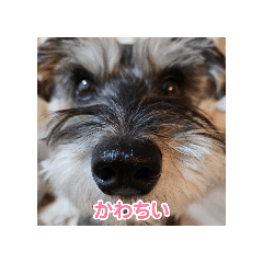 MOCO_20250119171159