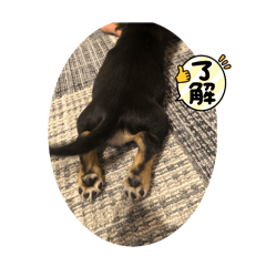 yoko_20250119171928