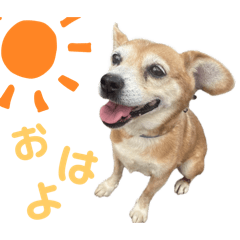 Shiho_20250119180445