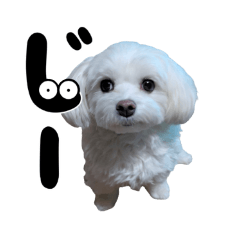 chacha_20250119202717
