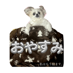 Yuna_20250119202429