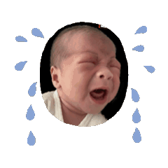 動動施沐瑜