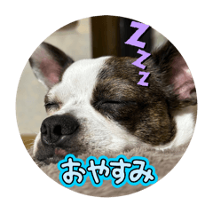 yuka_20250119183838