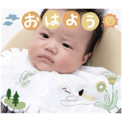 Momo_20250119184150