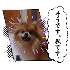MeRonnKunn