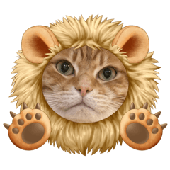 maaboo_20250119194644