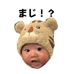 pipi_20250119212558