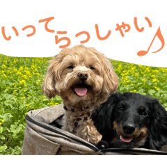 UKI_20250119220443