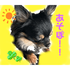 yoko_20250119223525