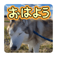 NATSU_20250119230921