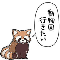 talking red panda