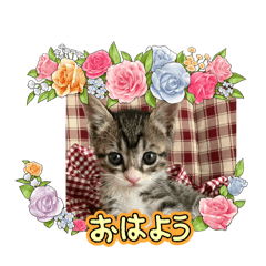 Minato_20250119124739