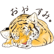tomo_20250119141225