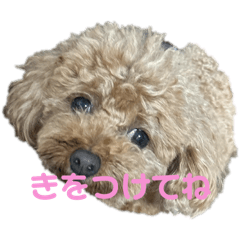nagisa_20250120072426